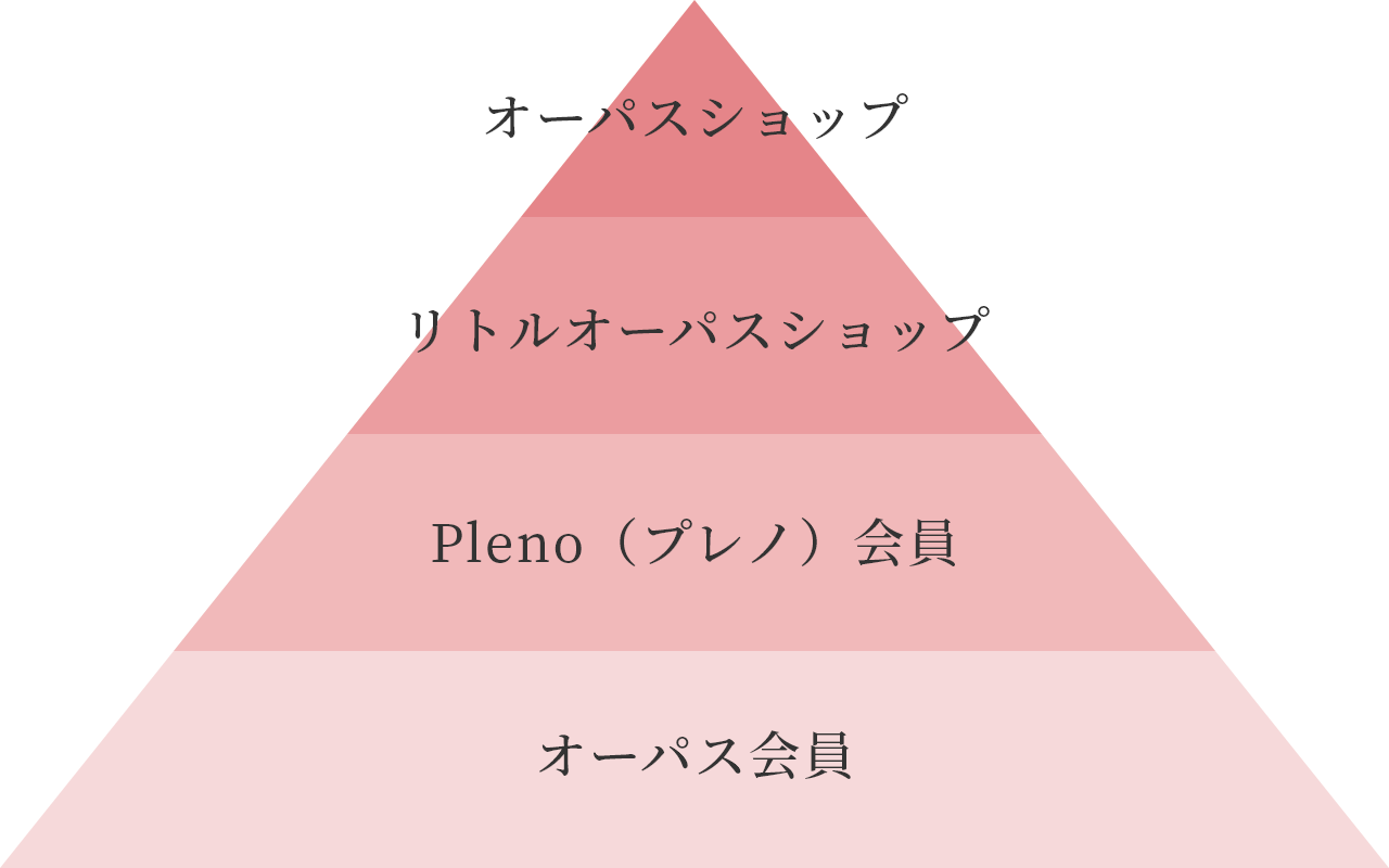 オーパスネットワークの仕組み